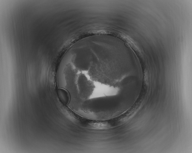 X0000116020449200911271119