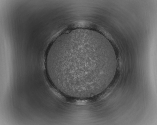 X0000116020450200911271119