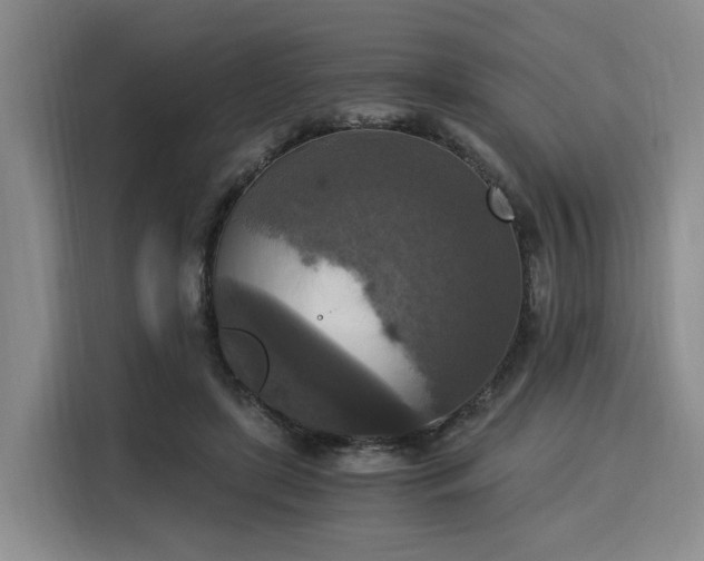 X0000116020451200911271119