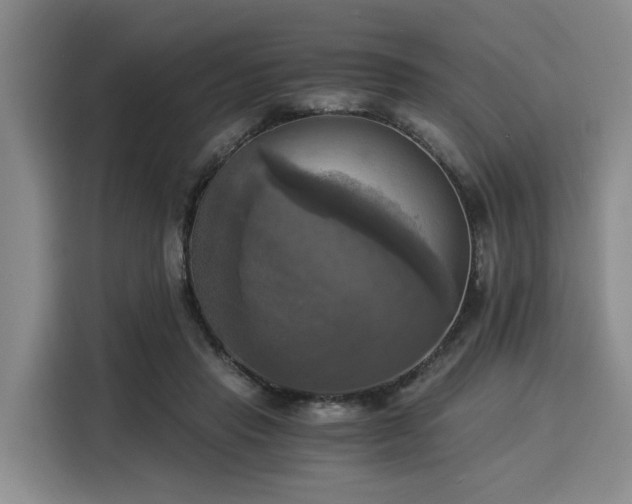 X0000116020453200911271119