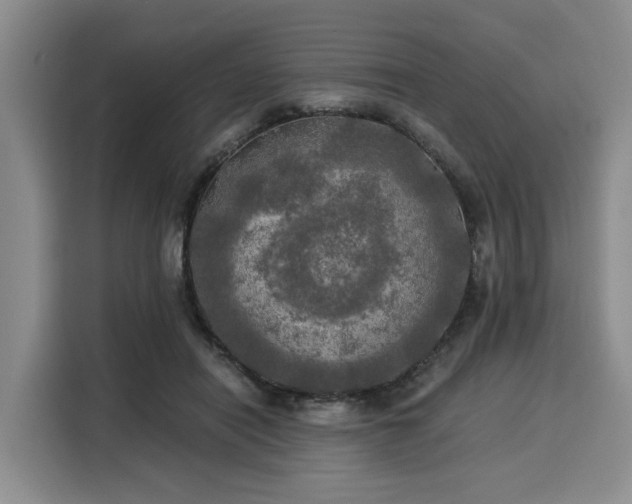 X0000116020454200911271119