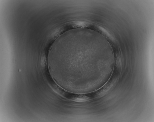 X0000116020459200911271119