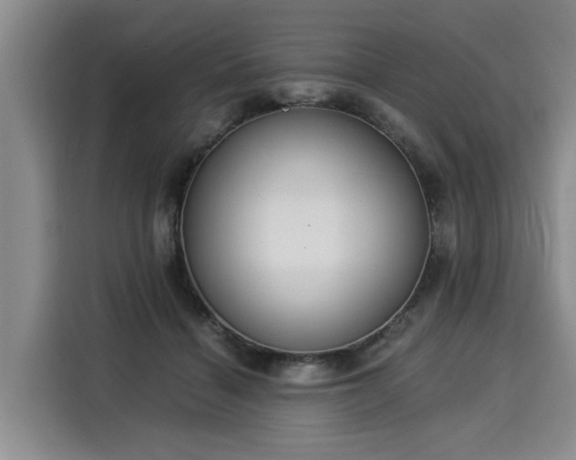 X0000116020460200911271119