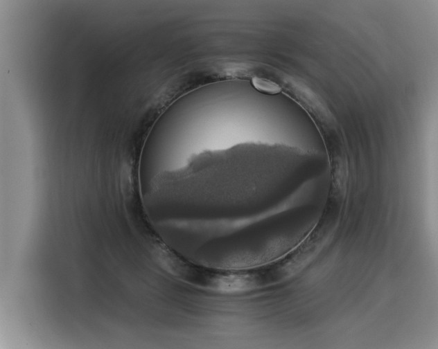 X0000116020461200911271119