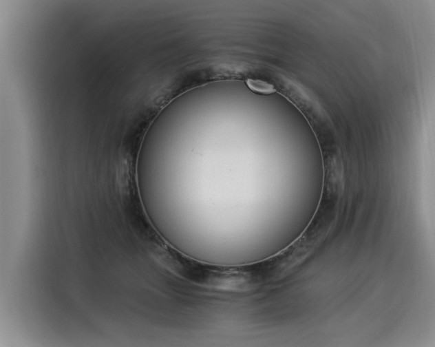 X0000116020463200911271119