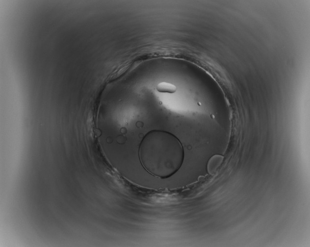 X0000116020465200911271119