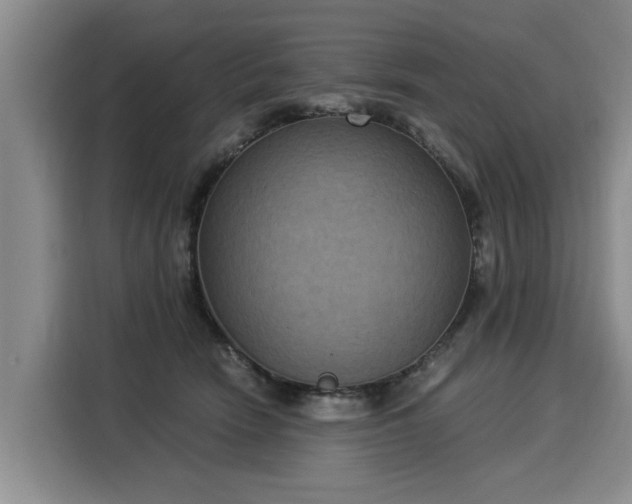 X0000116020466200911271119