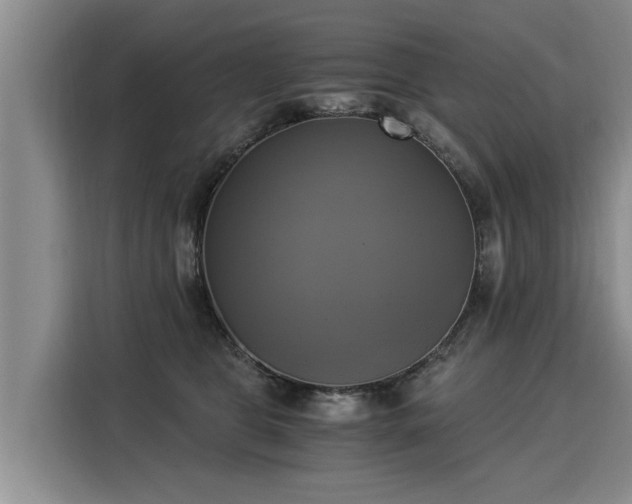 X0000116020469200911271119