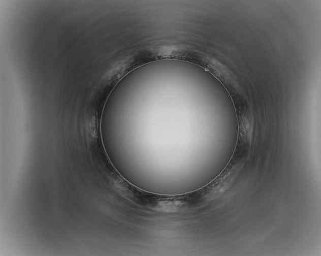 X0000116020470200911271119