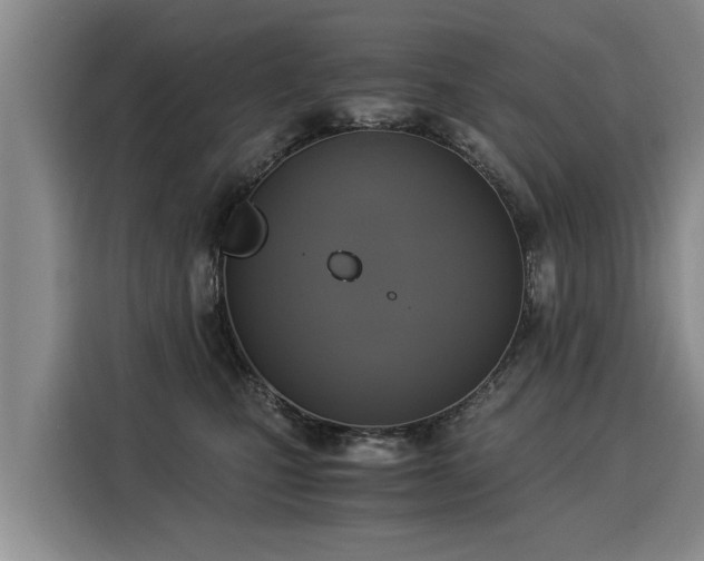 X0000116020471200911271119