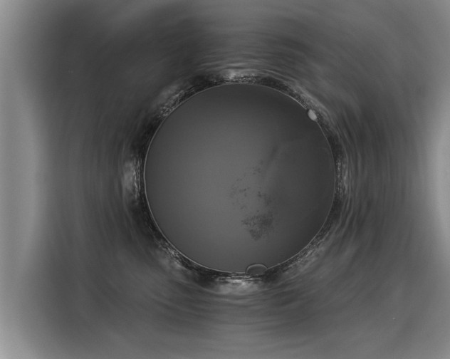 X0000116020475200911271119