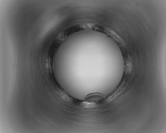 X0000116020477200911271119