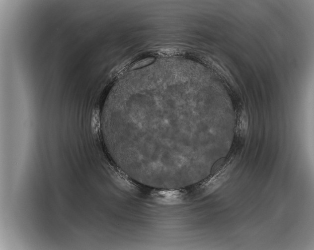 X0000116020478200911271119