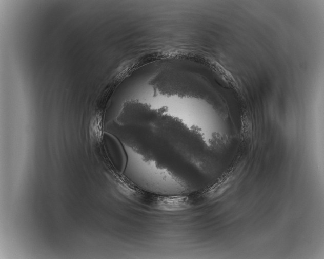 X0000116020479200911271119