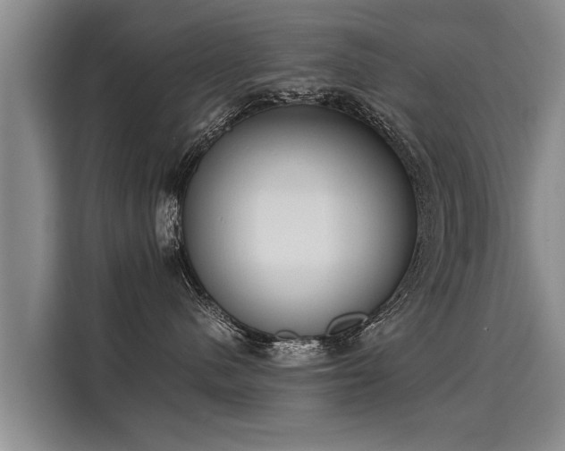 X0000116020480200911271119