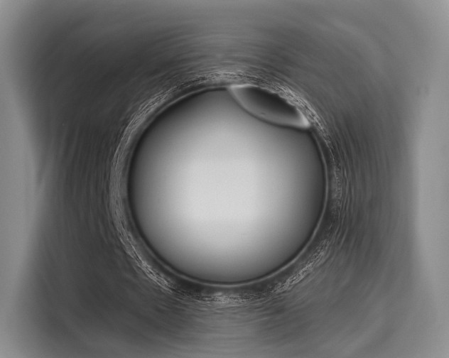 X0000116020481200911271119