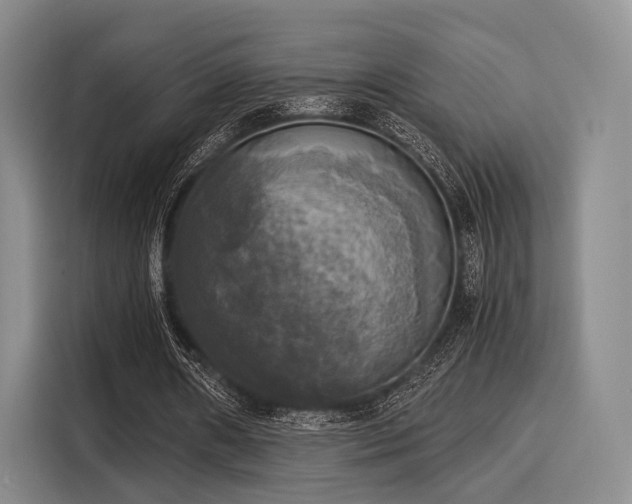 X0000116020482200911271119