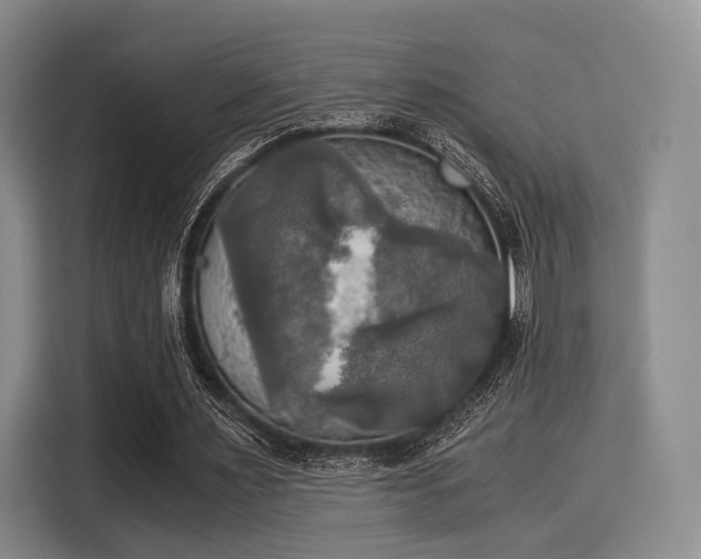 X0000116020483200911271119