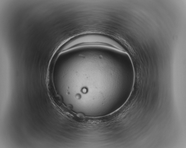 X0000116020484200911271119