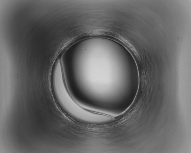 X0000116020485200911271119