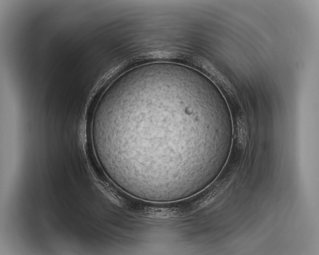 X0000116020486200911271119