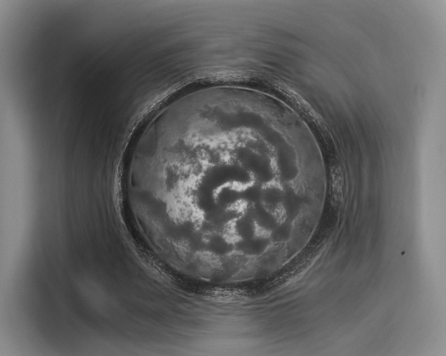 X0000116020487200911271119