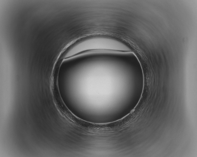 X0000116020488200911271119