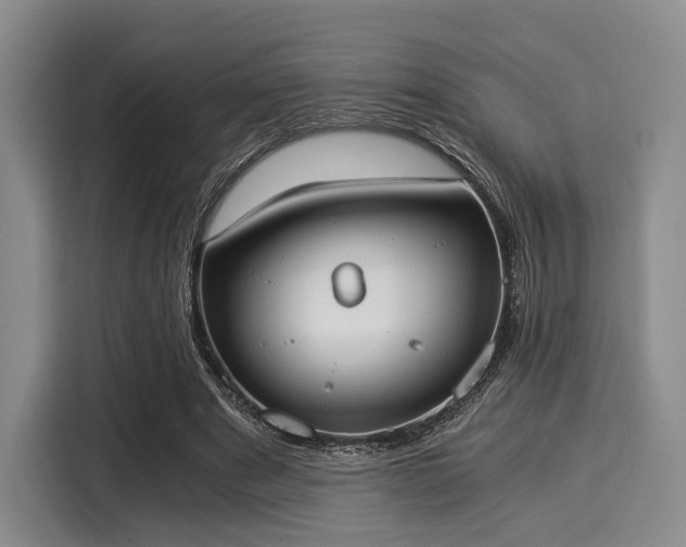 X0000116020489200911271119