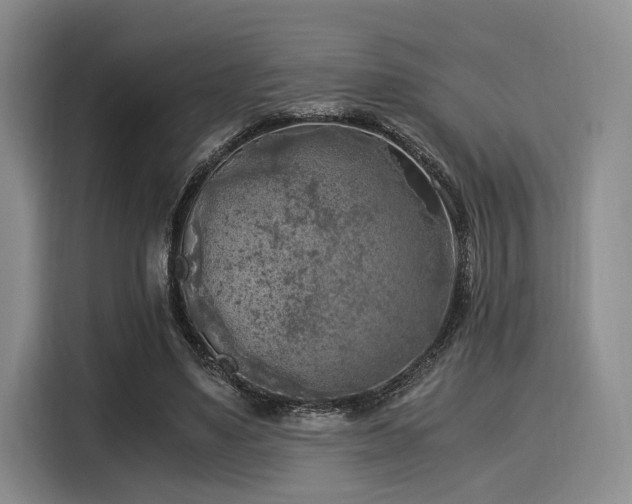 X0000116020491200911271119