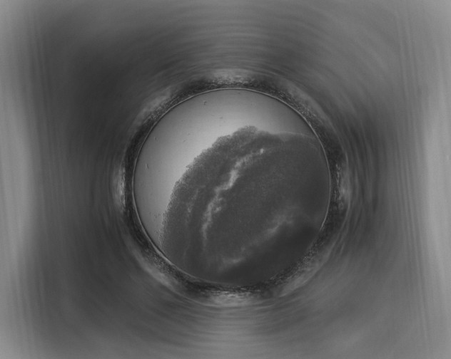 X0000116020494200911271119