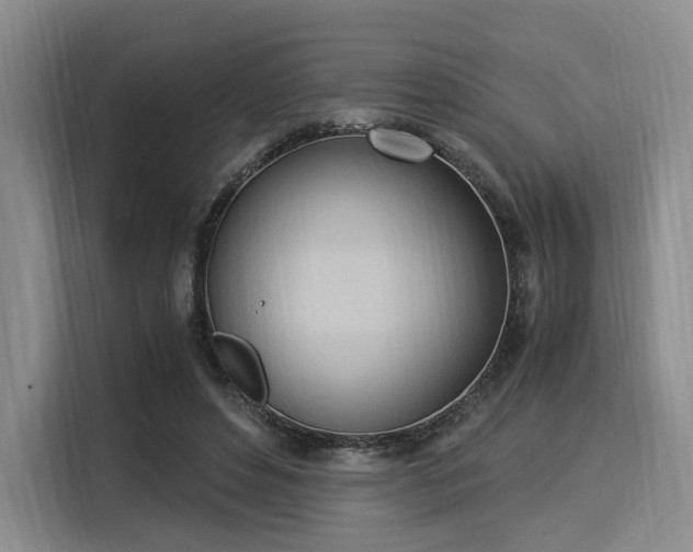 X0000116020496200911271119