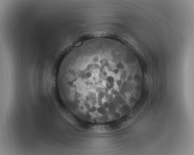 X0000116020499200911271119