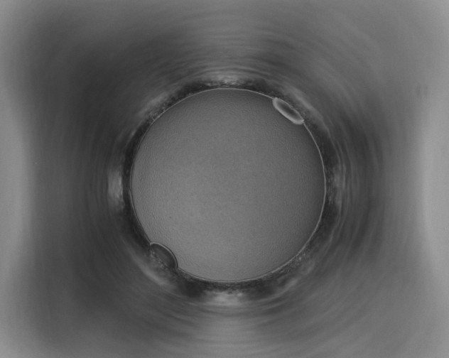 X0000116020500200911271119