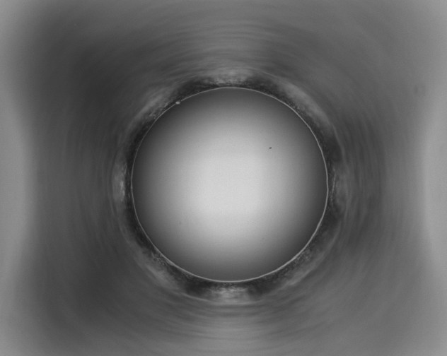 X0000116020501200911271119