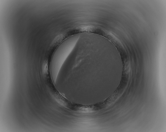 X0000116020502200911271119