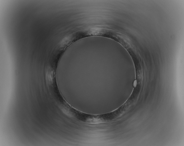 X0000116020503200911271119