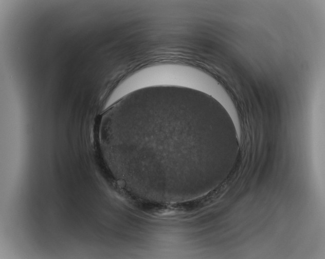 X0000116020504200911271119