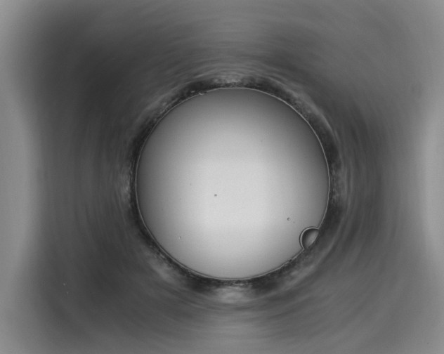 X0000116020505200911271119