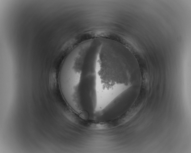 X0000116020506200911271119