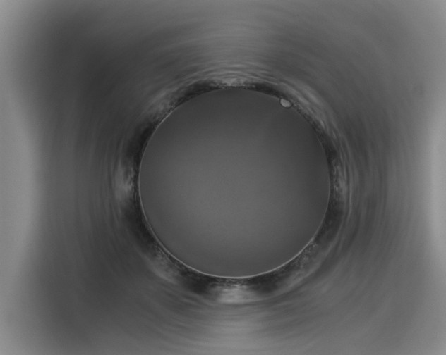 X0000116020507200911271119