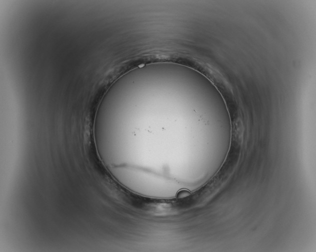 X0000116020509200911271118