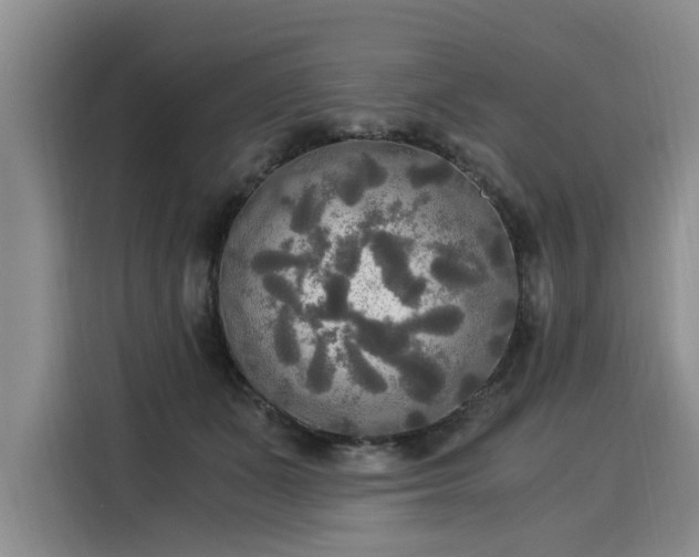 X0000116020511200911271118