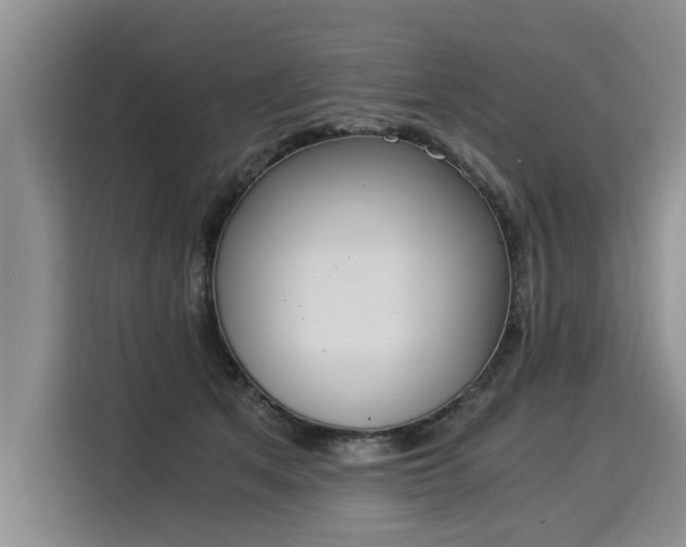 X0000116020513200911271118