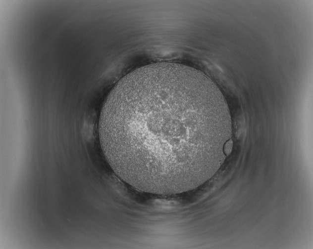 X0000116020515200911271118