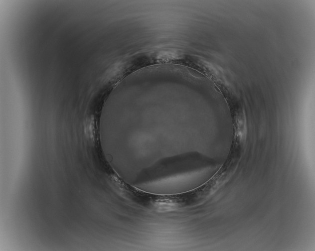 X0000116020519200911271118