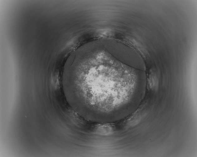 X0000116020520200911271118