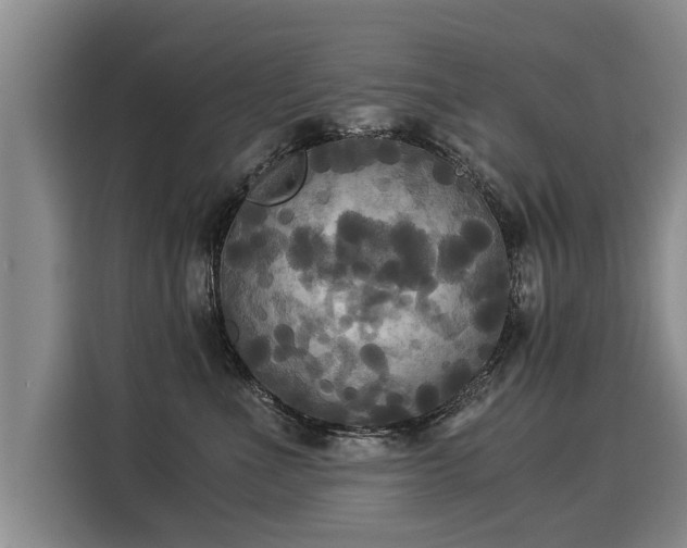 X0000116020523200911271118