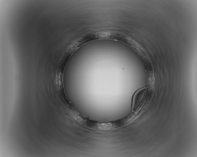 X0000116020525200911271118