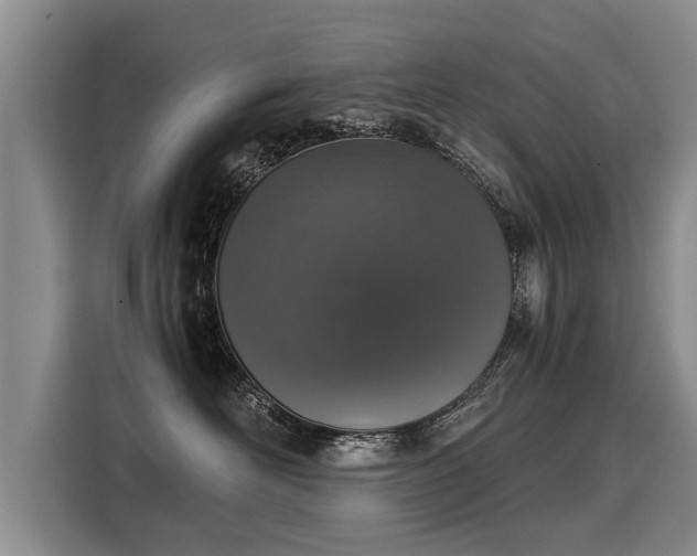 X0000116020526200911271118