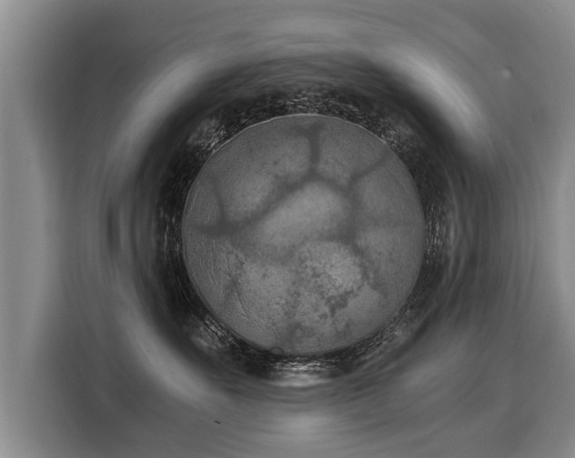 X0000116020527200911271118